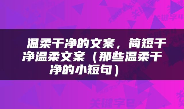 温柔干净的文案,简短干净温柔文案(那些温柔干净的小短句)