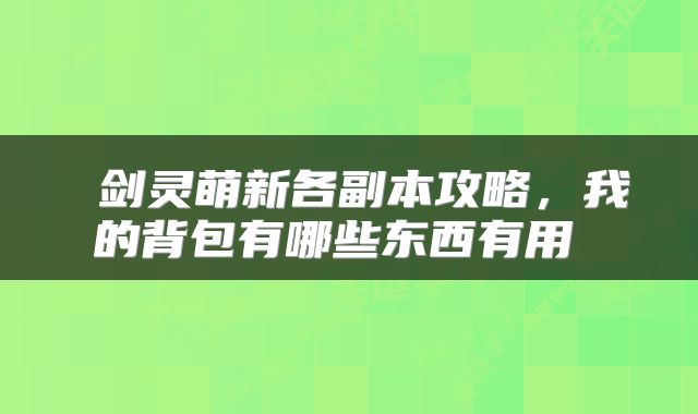 剑灵萌新各副本攻略,我的背包有哪些东西有用