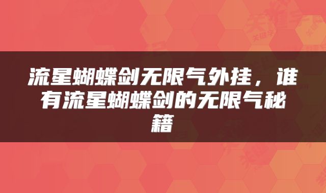 流星蝴蝶剑无限气外挂，谁有流星蝴蝶剑的无限气秘籍