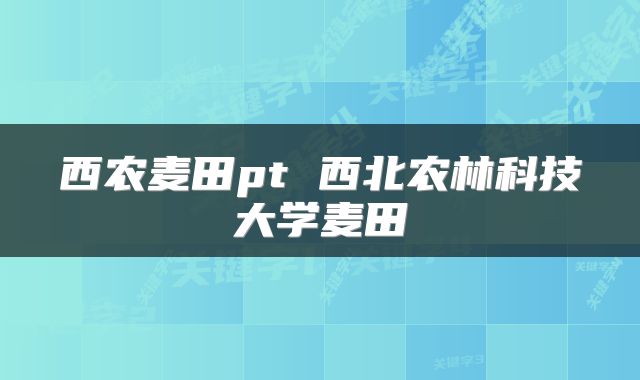 西农麦田pt 西北农林科技大学麦田
