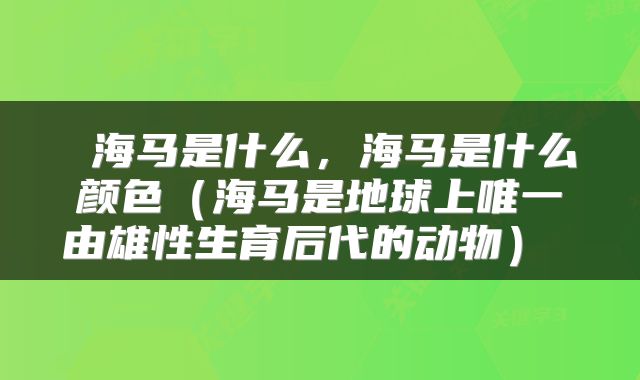  海马是什么，海马是什么颜色（海马是地球上唯一由雄性生育后代的动物） 