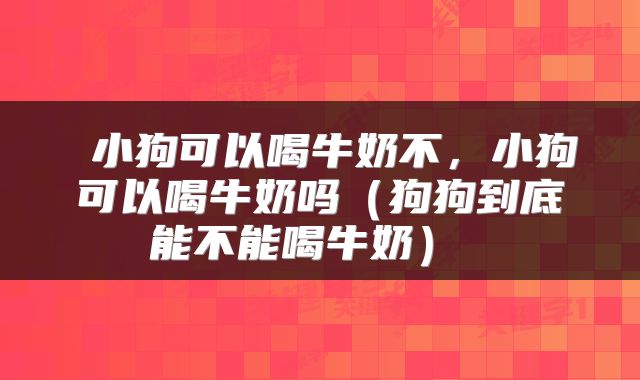  小狗可以喝牛奶不，小狗可以喝牛奶吗（狗狗到底能不能喝牛奶） 