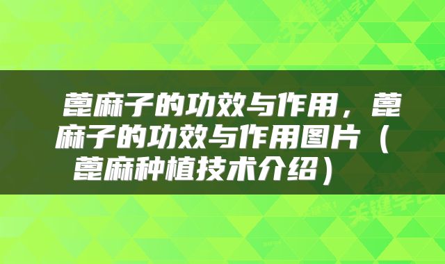  蓖麻子的功效与作用，蓖麻子的功效与作用图片（蓖麻种植技术介绍） 