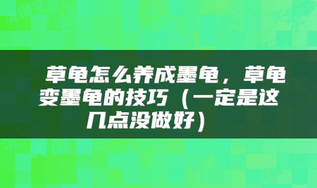  草龟怎么养成墨龟，草龟变墨龟的技巧（一定是这几点没做好） 