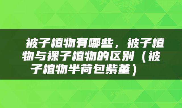被子植物有哪些,被子植物与裸子植物的区别(被子植物半荷包紫堇)