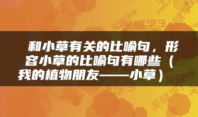 和小草有关的比喻句,形容小草的比喻句有哪些(我的植物朋友——小草)