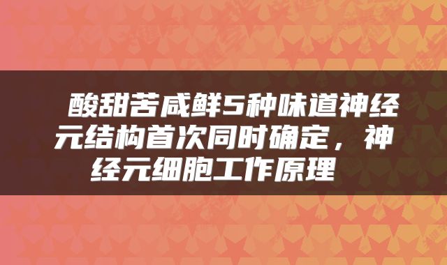 酸甜苦咸鲜5种味道神经元结构首次同时确定,神经元细胞工作原理