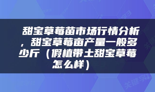 甜宝草莓苗市场行情分析,甜宝草莓亩产量一般多少斤(假植带土甜宝草莓怎么样)