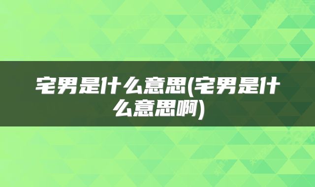 宅男是什么意思(宅男是什么意思啊)