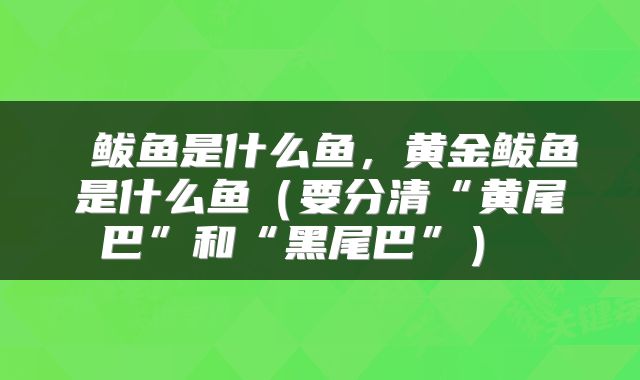 鲅鱼是什么鱼,黄金鲅鱼是什么鱼(要分清“黄尾巴”和“黑尾巴”)
