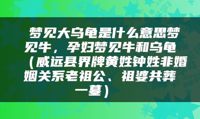 梦见大乌龟是什么意思梦见牛,孕妇梦见牛和乌龟(威远县界牌黄姓钟姓非婚姻关系老祖公、祖婆共葬一墓)