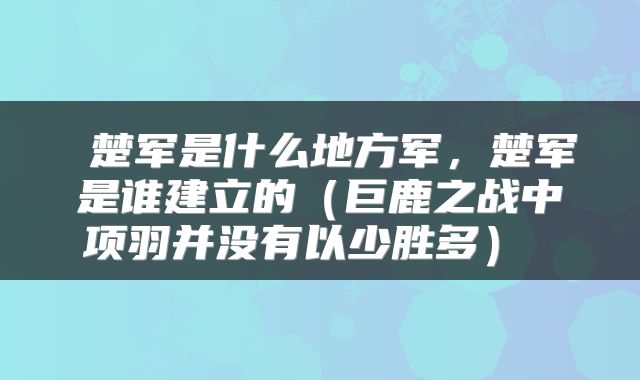 楚军是什么地方军,楚军是谁建立的(巨鹿之战中项羽并没有以少胜多)