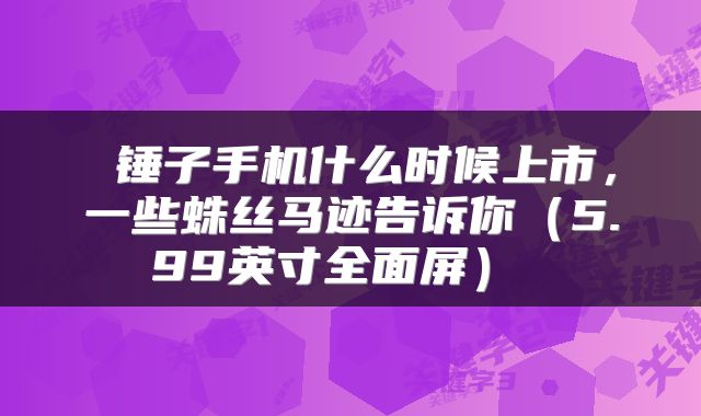  锤子手机什么时候上市，一些蛛丝马迹告诉你（5.99英寸全面屏） 