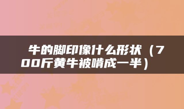  牛的脚印像什么形状（700斤黄牛被啃成一半） 