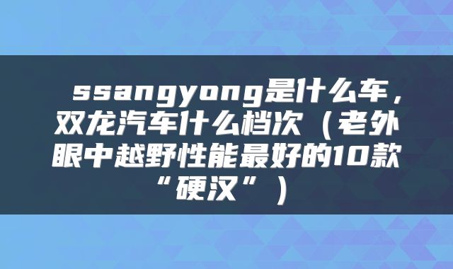 ssangyong是什么车，双龙汽车什么档次（老外眼中越野性能最好的10款“硬汉”） 