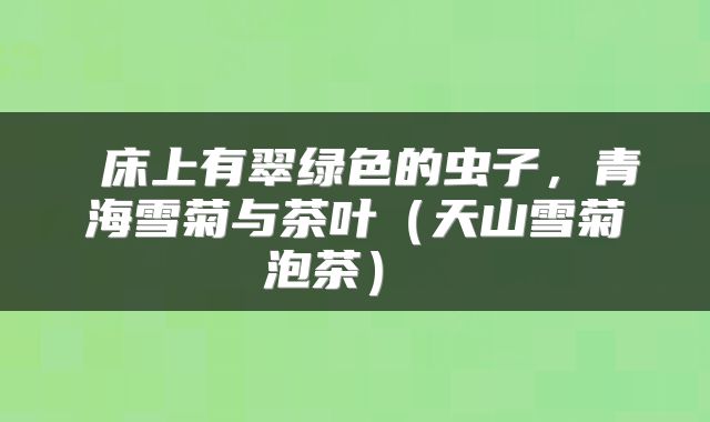  床上有翠绿色的虫子，青海雪菊与茶叶（天山雪菊泡茶） 