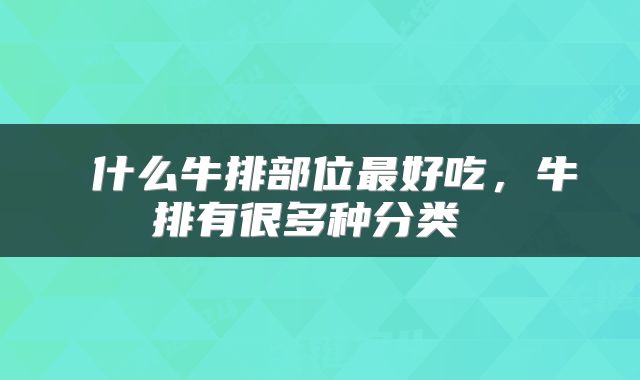  什么牛排部位最好吃，牛排有很多种分类 