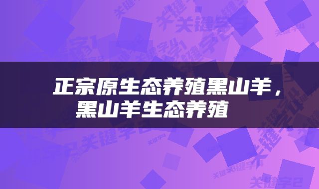  正宗原生态养殖黑山羊，黑山羊生态养殖 