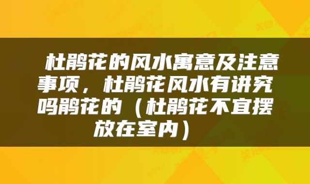  杜鹃花的风水寓意及注意事项，杜鹃花风水有讲究吗鹃花的（杜鹃花不宜摆放在室内） 