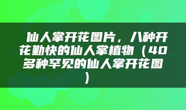  仙人掌开花图片，八种开花勤快的仙人掌植物（40多种罕见的仙人掌开花图） 