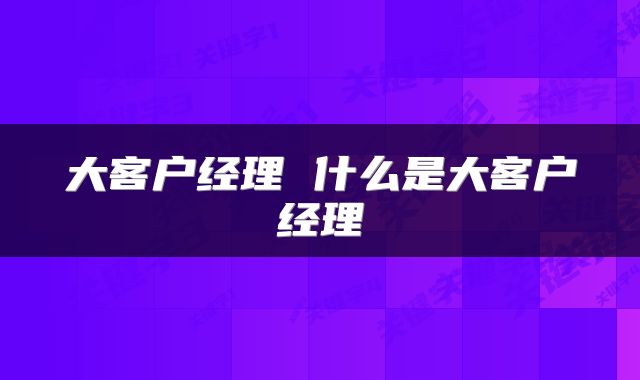 大客户经理 什么是大客户经理