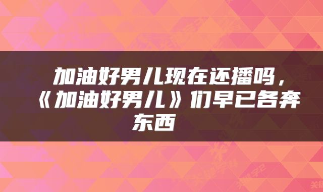 加油好男儿现在还播吗,《加油好男儿》们早已各奔东西