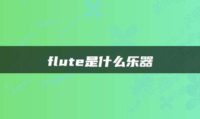 flute是什么乐器