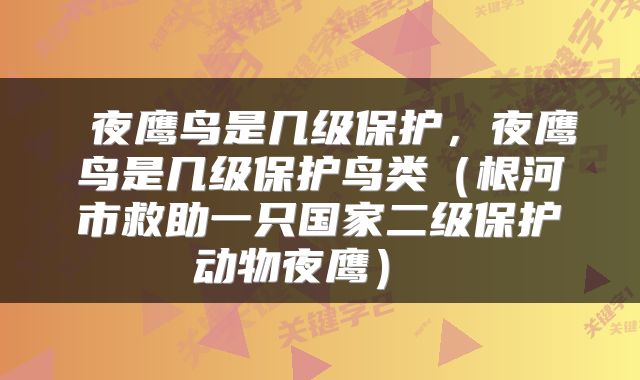  夜鹰鸟是几级保护，夜鹰鸟是几级保护鸟类（根河市救助一只国家二级保护动物夜鹰） 