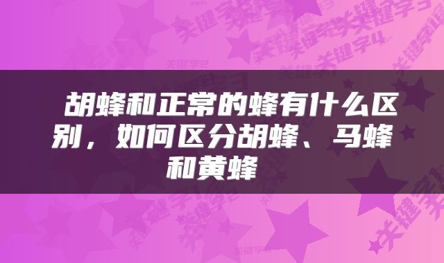  胡蜂和正常的蜂有什么区别，如何区分胡蜂、马蜂和黄蜂 