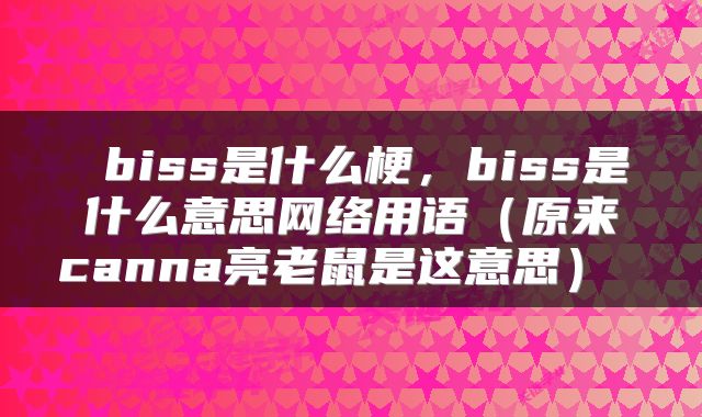  biss是什么梗，biss是什么意思网络用语（原来canna亮老鼠是这意思） 