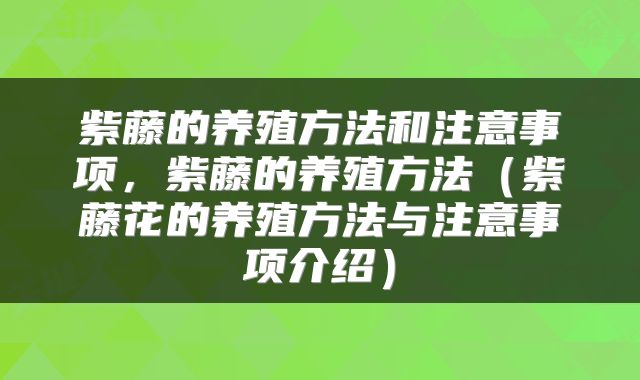 紫藤的养殖方法和注意事项，紫藤的养殖方法（紫藤花的养殖方法与注意事项介绍）