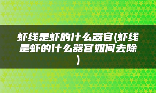 虾线是虾的什么器官(虾线是虾的什么器官如何去除)