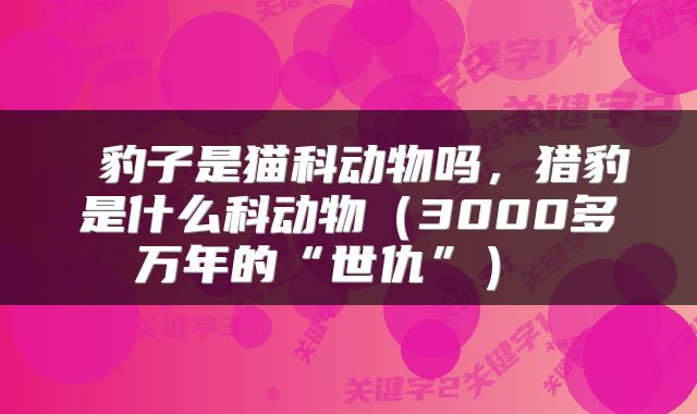  豹子是猫科动物吗，猎豹是什么科动物（3000多万年的“世仇”） 