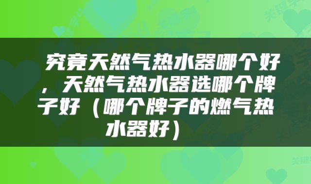  究竟天然气热水器哪个好，天然气热水器选哪个牌子好（哪个牌子的燃气热水器好） 