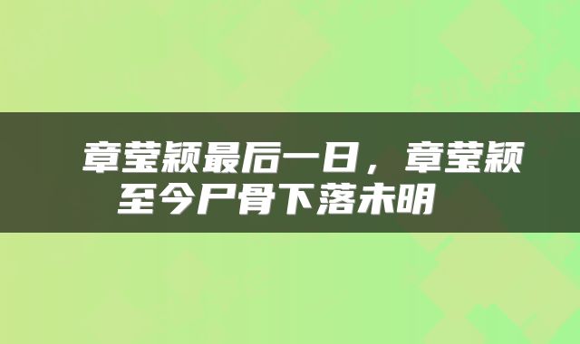  章莹颖最后一日，章莹颖至今尸骨下落未明 