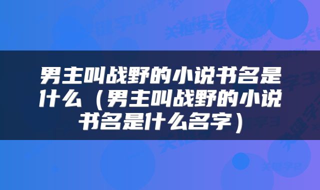 男主叫战野的小说书名是什么（男主叫战野的小说书名是什么名字）