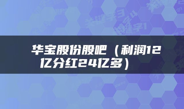  华宝股份股吧（利润12亿分红24亿多） 