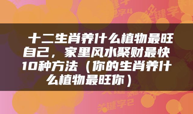  十二生肖养什么植物最旺自己，家里风水聚财最快10种方法（你的生肖养什么植物最旺你） 