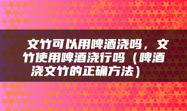  文竹可以用啤酒浇吗，文竹使用啤酒浇行吗（啤酒浇文竹的正确方法） 