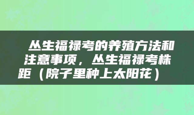  丛生福禄考的养殖方法和注意事项，丛生福禄考株距（院子里种上太阳花） 