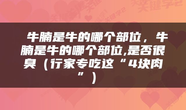  牛腩是牛的哪个部位，牛腩是牛的哪个部位,是否很臭（行家专吃这“4块肉”） 