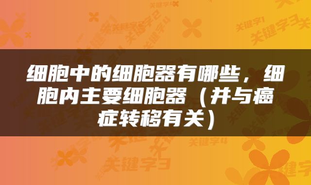 细胞中的细胞器有哪些，细胞内主要细胞器（并与癌症转移有关）
