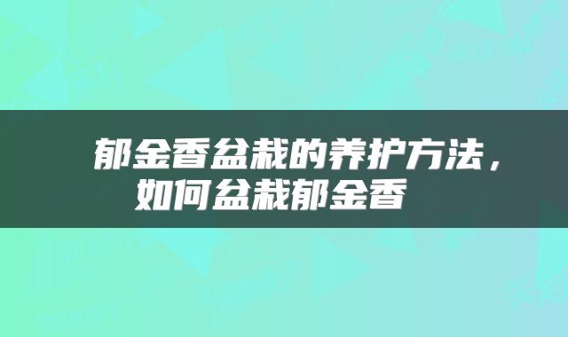  郁金香盆栽的养护方法，如何盆栽郁金香 