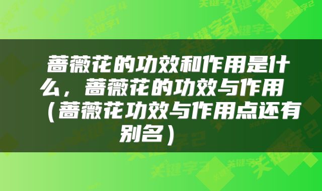  蔷薇花的功效和作用是什么，蔷薇花的功效与作用（蔷薇花功效与作用点还有别名） 