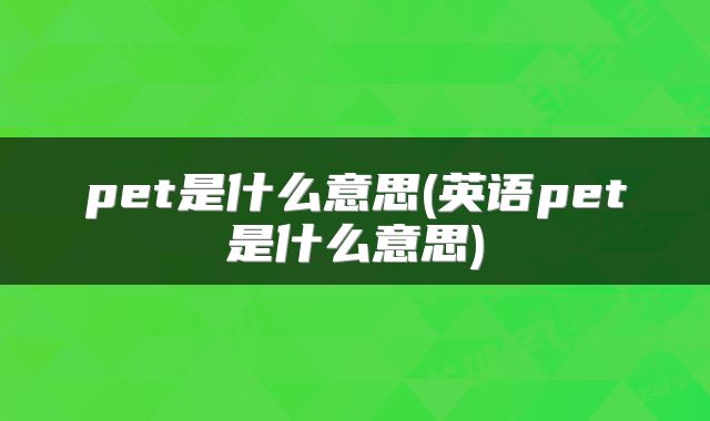 pet是什么意思(英语pet是什么意思)