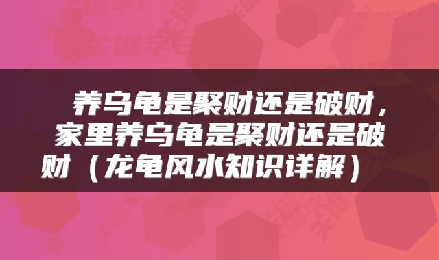  养乌龟是聚财还是破财，家里养乌龟是聚财还是破财（龙龟风水知识详解） 