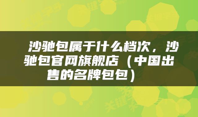  沙驰包属于什么档次，沙驰包官网旗舰店（中国出售的名牌包包） 