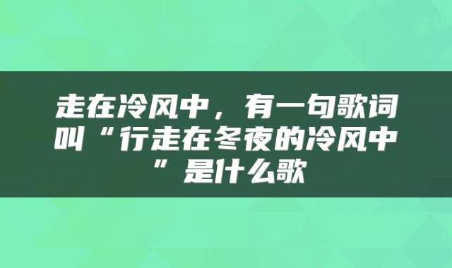 走在冷风中，有一句歌词叫“行走在冬夜的冷风中”是什么歌