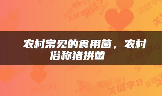  农村常见的食用菌，农村俗称猪拱菌 