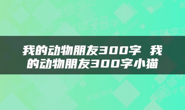 我的动物朋友300字 我的动物朋友300字小猫